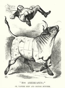 Punch tegneserie: Bos Americanus; eller, Yankee Beef og British Butcher - forventede fordeler for forbrukere ved å importere amerikansk kjøtt (gravering) av John (after) Tenniel