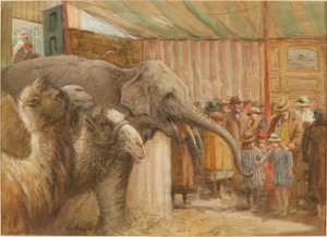 Bostock og Wombwells Menagerie (blyant og wc på papir)