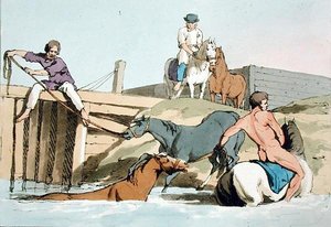 Badende hester, etset av kunstneren, utgitt 1803 (farge litho) av John Augustus Atkinson