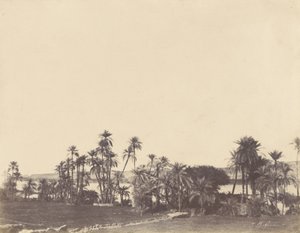  av John Beasley Greene