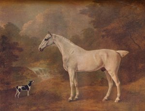 En loppebitt grå og en flekket terrier, 1803.