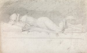 Studie av Hermafroditten