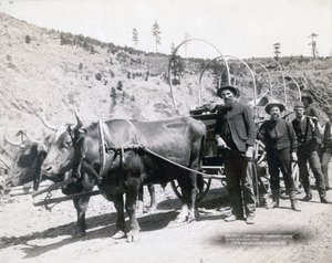 Gold Fever in South Dakota av John C. H. Grabill