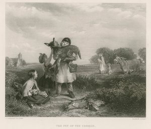 Allmenningens kjæledyr av John Callcott Horsley