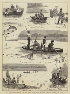 Fiskeoppbevaring, nettingkarpe og suter i dammene i Bushey Park for utsetting av Themsen av John Charles Dollman