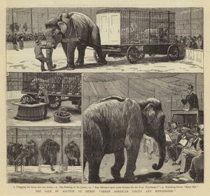 Salget på auksjon av Myers' Great American Circus and Hippodrome av John Charles Dollman