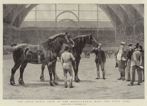 Shire Horse Show i Landbrukshallen, Finaleduellen