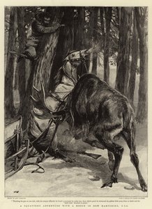 A Squatter
