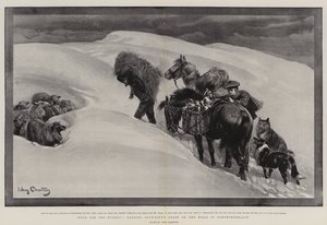 Mat for de sultne, stelle snøbundne sauer på åsene i Northumberland