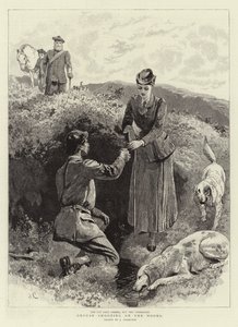 Rypeskyting på maurerne