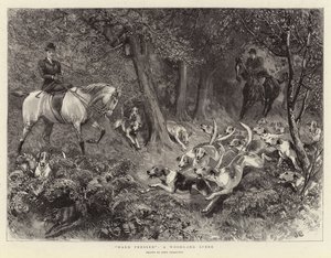 Hard Pressed, en Woodland Scene