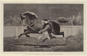 Islington Horse Show, traver en Roadster