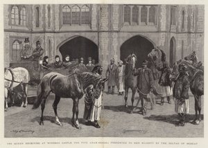 Dronningen mottok på Windsor Castle de fem arabiske hestene presentert for Hennes Majestet av Sultanen av Muscat