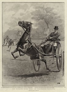 The Richmond Horse Show, en uøvd utstilling