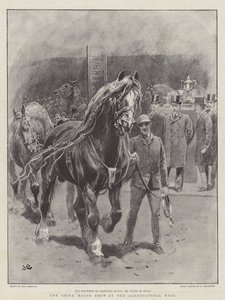 The Shire Horse Show på Landbrukshallen av John Charlton