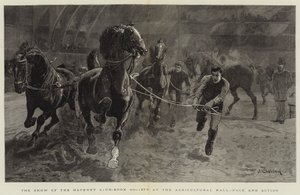 Showet til Hackney Stud-Book Society i Agricultural Hall, Pace and Action