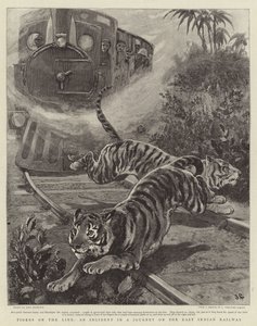 Tigers on the Line, en hendelse i en reise på den østindiske jernbanen