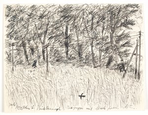 Vridsløsemagle. Tregruppe med felt foran. Kveld av John Christensen