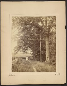  av John Coates Browne