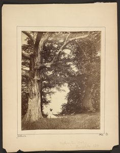  av John Coates Browne