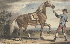Stallgutt som holder en hest i et landskap (wc på papir) av John Collet