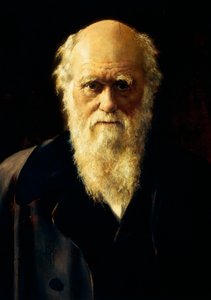 Portrett av Charles Darwin