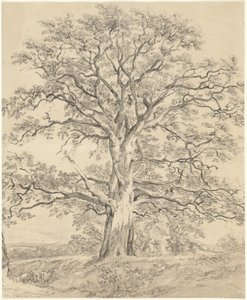 Et flott eiketre av John Constable