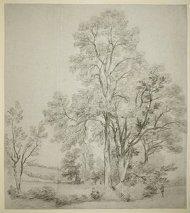 Et stativ av almetrær (recto); En studie av Øst-Bergholt med kirken (verso) av John Constable
