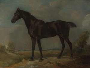 Golding Constables svarte ridehest av John Constable