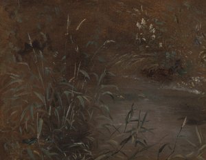 Skyter ved et basseng av John Constable