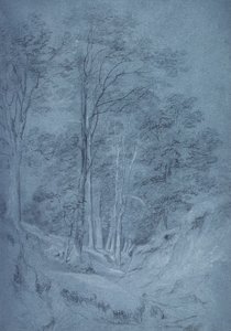 Studie av aske og andre trær (blyant på papir, forsterket med hvitt kritt) av John Constable