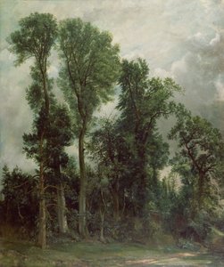 Trær i Hampstead av John Constable