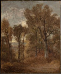 Skoglandskap med utsikt over Dedham Vale av John Constable