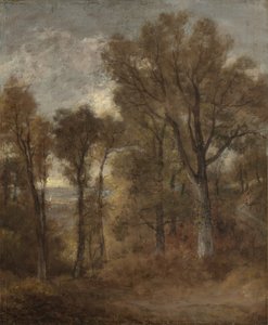 Skogsscene med utsikt over Dedham Vale, ca. 1802-03 av John Constable