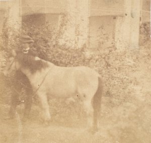 [Mann og hest, regjeringshuset, Allahabad], 1858. av John Constantine Stanley