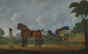 En gentleman med sitt par bukter trukket til en læreplan