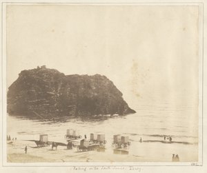  av John Dillwyn Llewelyn