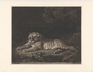 Tijgerin A Tigress (title on object)   1360502   no       norwegian Successfully Translated  Original: Gezicht op werf in haven van galei schepen te Malta Vue du chantier dans le port des Galères à Malte (title on object) Voyage en Italie, en Sicile et à M