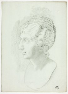  av John Downman