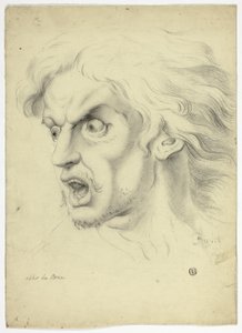  av John Downman
