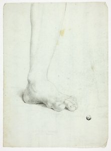  av John Downman