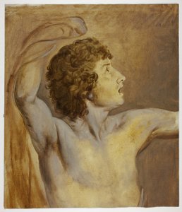 Studer etter naturen av John Downman