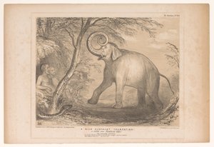 Spotprent møtte Lord Ellenborough som en vill olifant En vill elefant som utbasunerer. En scene fra Paradise Lost! (tittel på objekt) HB Sketches (serietittel på objekt) av John Doyle
