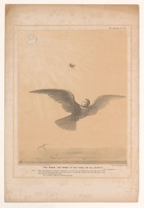 Spotprent møtte Lord Russell som en vinterkoninkje Skitturen, gæren! Er kongen over alle fugler! (tittel på objekt) HB Sketches (serietittel på objekt) av John Doyle