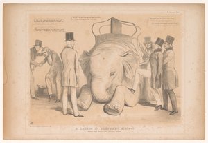 Spotprent over de aanstelling av Henry Hardinge som guvernør i India En leksjon i elefantridning! Studert fra Nature in the Zoological Gardens (tittel på objekt) HB Sketches (serietittel på objekt) av John Doyle
