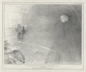 Talleyrand as een spin in his web, 1832 En ærverdig edderkopp og en summende flue. (En fabel) (tittel på objekt) Politiske skisser (serietittel) av John Doyle