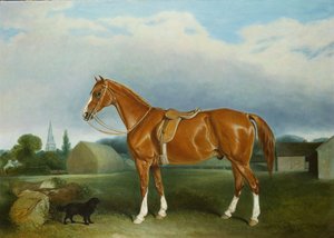 En kastanjejeger og en spaniel ved gårdsbygninger av John E. Ferneley