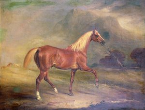 Kastanje araberhingst av John E. Ferneley