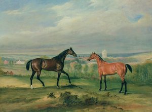 Greve Batyanys favorittjegere på Melton Mowbray av John E. Ferneley