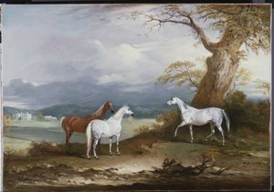 Lord Macdonalds Mares on the Grounds of Thorpe Hall, Rudston, Yorkshire, 1836